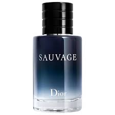 Inspired by “Dior Sauvage”